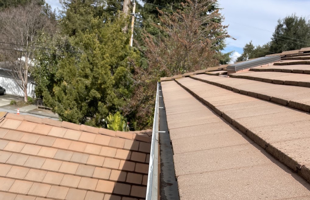Gutter cleaned by Slon Exterior Care