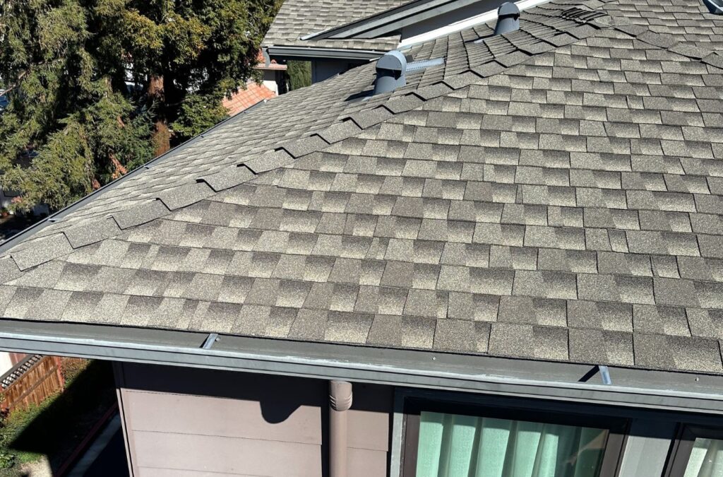 A Slon Exterior Care expert showcasing gutter cleaning work in Newark, CA, reflecting the company’s dependable and detail-oriented approach. Gutter Cleaning near me.