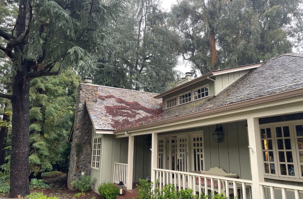 Slon Exterior Care technician performing roof cleaning in Newark, CA showing improved curb appeal and surface protection.