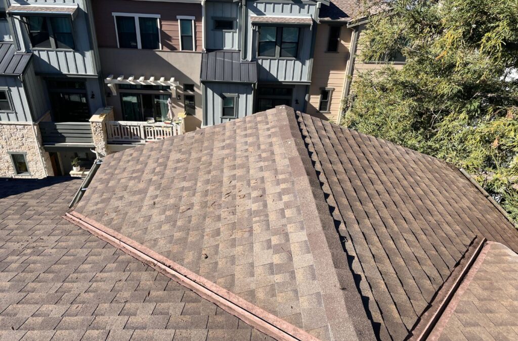 A Slon Exterior Care expert cleaning a roof in Palo Alto, CA demonstrating quality, reliability, and trusted exterior maintenance service. Roof Cleaning near me.