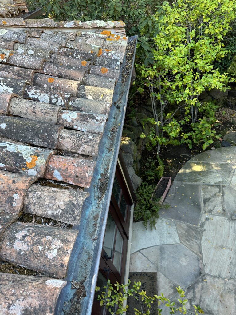 HOA-GUTTER-CLEANING