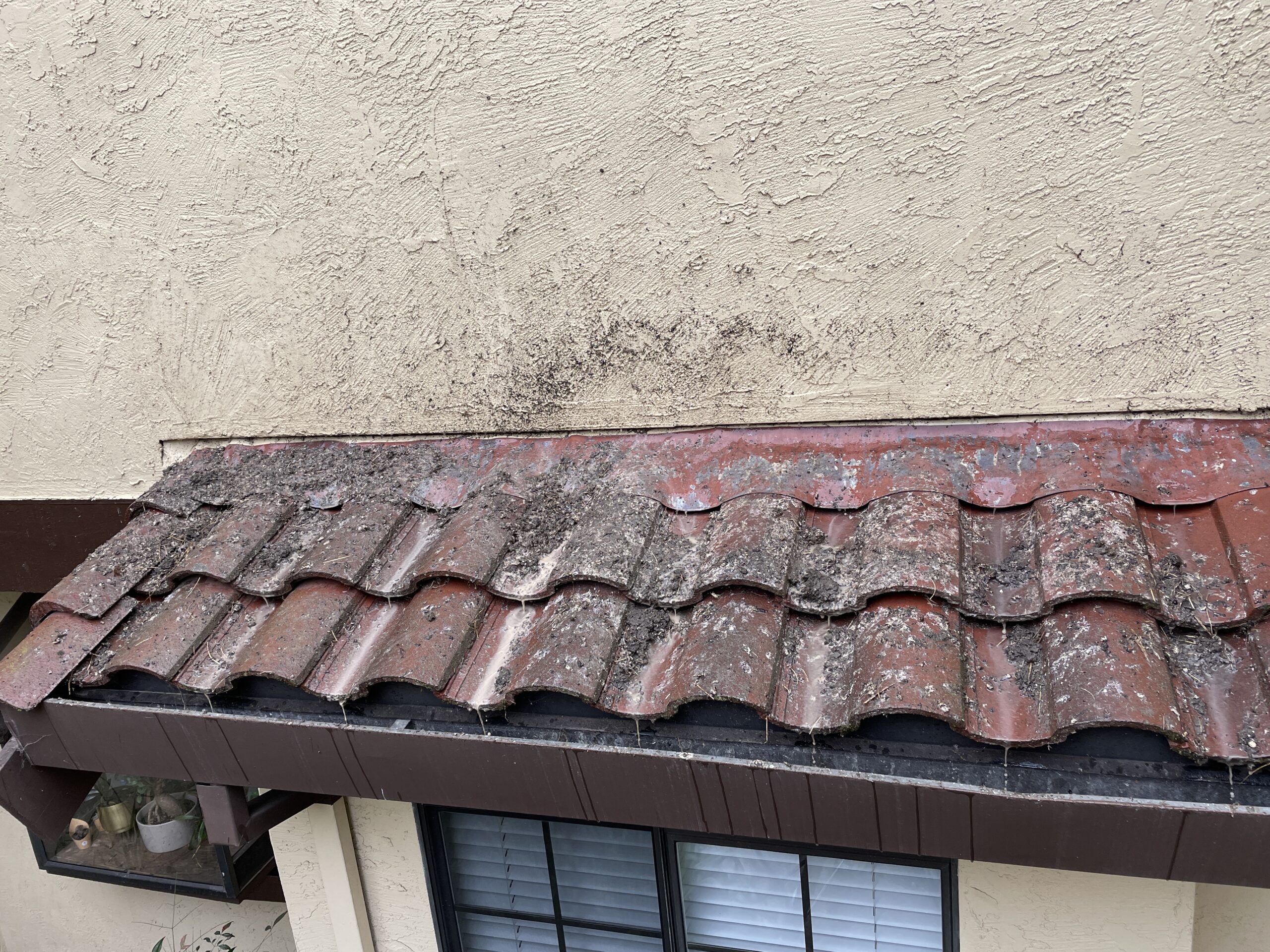 HOA Gutter Cleaning Service