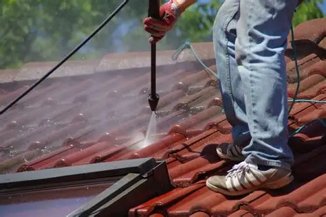 Professional Roof Washing in Fremont, CA