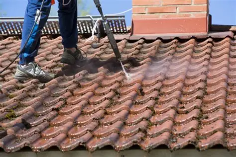 Residential Roof Washing in Campbell, CA