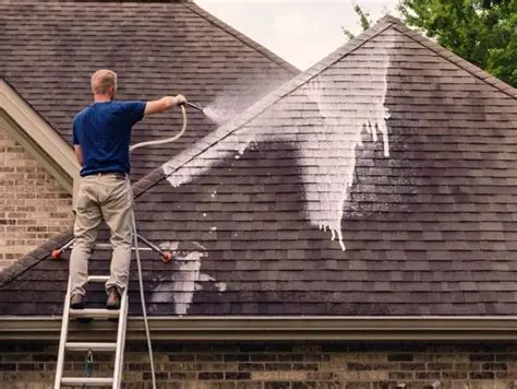 Reliable Roof Washing in Los Gatos, CA